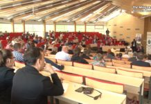 Stalowowolskie Gżegżółki