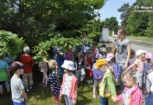 Dzień Dziecka w Stalowej Woli