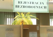 Oferta niżańskiego PUP