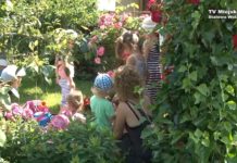 Odwiedziny na działkach