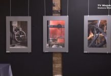 Martwa natura wg Animusa