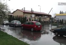 Drzewko za makulaturę