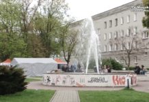 Pozytywnie zakręceni