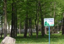 Rewaloryzacja zabytkowego Parku Miejskiego w Nisku
