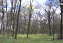 Na wycieczkę do parku