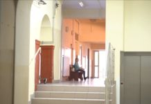 Walczą o przetrwanie