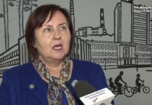 Kandyduje do Europarlamentu