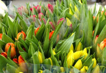 Wszystkim Paniom życzymy Wszystkiego Najlepszego z okazji ich święta !