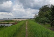 Zwiększy się bezpieczeństwo mieszkańców gmin Gorzyce i Radomyśl nad Sanem poprzez modernizację wałów