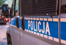 W wypadku zginął kierowca citroena