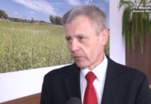 Rudnik pod sterami Grochowskiego