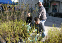 Przyjdź z makulaturą i odbierz drzewko