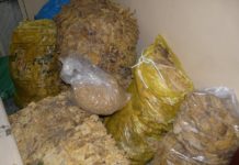 Właścicielka pizzerii sprzedawała nielegalne papierosy, które produkowała jej matka