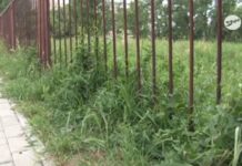 Zaniedbany teren – śpiący urzędnicy