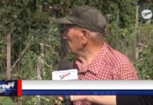 Działka- moja pasja