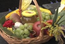 Za nami rolnicze świętowanie