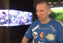 Sebastian Marczewski szykuje się do pobicia kolejnego rekordu w nurkowaniu