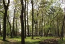 Samorządowe spięcia (video)