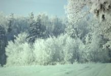 Zima w obiektywie (video)