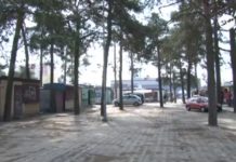 Konflikt na stalowowolskim targowisku