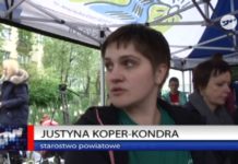 Drzewko za makulature