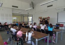 Pomponowe zwierzaczki z Promyczkiem