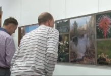 Piękno zamknięte w fotografii Celuchów. (video)