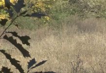 Nowe bloki w Stalowej Woli. (video)