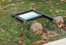 Park zdewastowany (video)