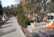 Multicmentarz (video)