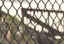 Uwaga włamania! (video)