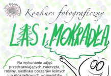 Konkurs fotograficzny