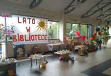 Grzyby z kartonu, planszówki i delfiny