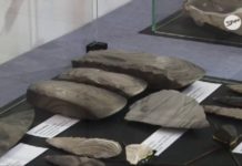 Krzemień pasiasty – perła Sandomierza