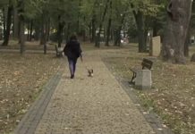Bajkowy park. (video)