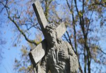 Niezwykła nekropolia (video)