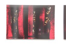 Wystawa Daniela Mroza