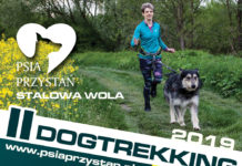 Juz wkrótce II stalowowolski Dogtrekking