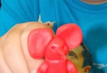 Filia nr 1 – Lekcja literacka „Plastusiowe mieszkanie”