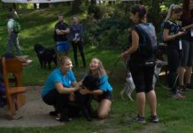 Za nami II Stalowowolski Dogtrekking