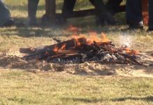 Pieczenie ziemniaka w Przyszowie