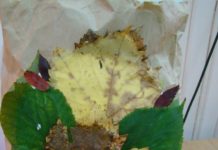 Filia nr 1 – Zanurzamy się w jesieni