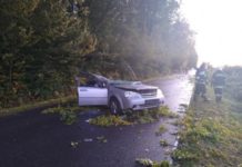 Drzewo spadło na pojazd, nie żyje kierowca