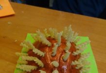 10 listopada – Dzień Jeża w Filii nr 3