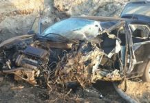 Śmiertelny wypadek na DK nr 19 na trasie Janów Lubelski – Nisko