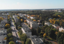 Formularz dla firm dotkniętych i zagrożonych kryzysem