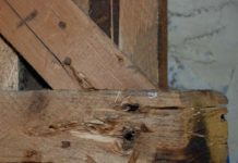 Policjanci zatrzymali mężczyznę, który włamywał się do piwnic