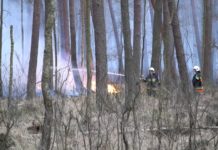 Spłonęło 50 hektarów lasu