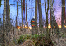 24 zastępy straży pożarnej walczy z pożarem