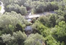 Wścieklizna w powiecie stalowowolskim